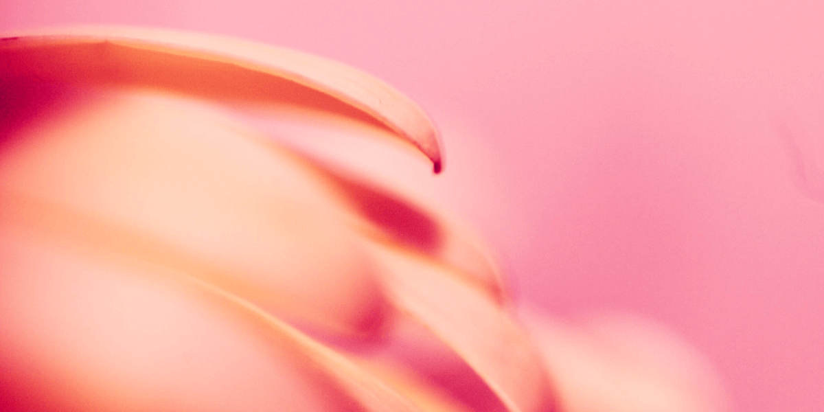 Empfohlene Beitragsbilder Chemie und Liebe wie es funktioniert Liebeshormone - Empfohlene-Beitragsbilder-Chemie und Liebe - wie es funktioniert-Liebeshormone
