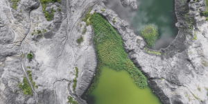 Empfohlene Beitragsbilder Die 7 häufigsten chemischen Reaktionen in der Natur Verbrennung 300x150 - Empfohlene-Beitragsbilder-Die 7 häufigsten chemischen Reaktionen in der Natur-Verbrennung